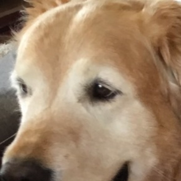 Meet your Posher, Elta - Picture 1 of 1